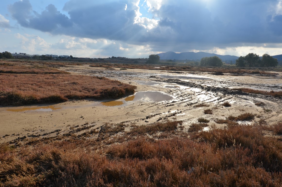 Τι αφήνουν πίσω τους οι "εισβολείς"; - Φωτό: WWF Ελλάς/Κ. Παραγκαμιάν