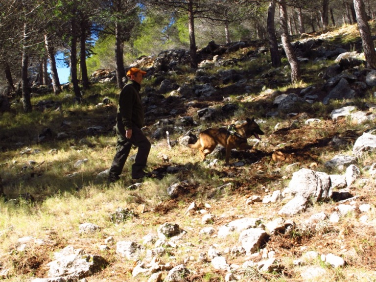 Ο εκπαιδευτής μας και ο σκύλος που τώρα περιπολεί τα Μετέωρα